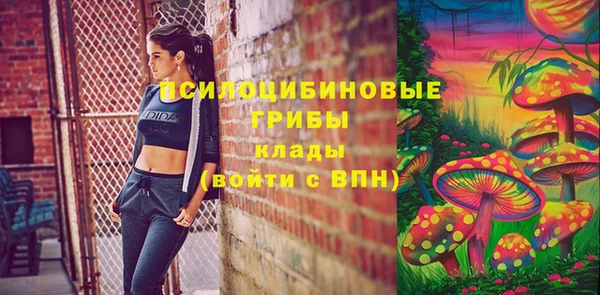 дживик Костерёво