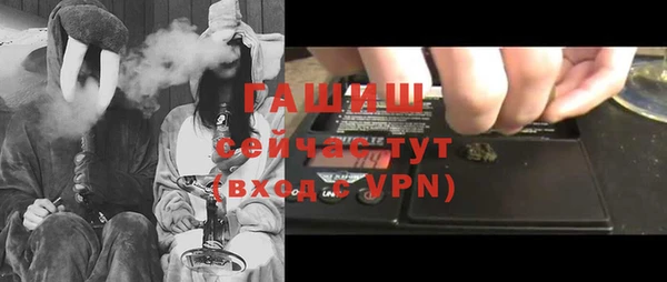стаф Корсаков
