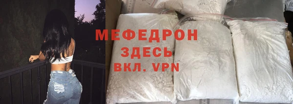 стаф Корсаков
