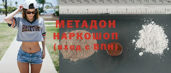 стаф Корсаков