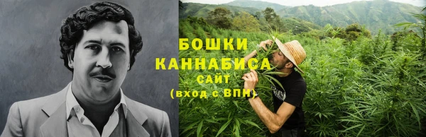 стаф Корсаков