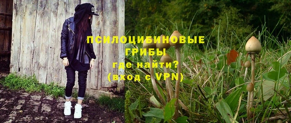 дживик Костерёво